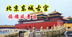 骚货反差淫荡在线中国北京-东城古宫旅游风景区
